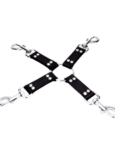 N12269 bound leather 4 way hog tie 4