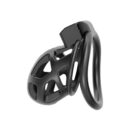 Impound Sentinal Cock Cage